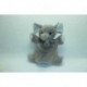 DOUDOU ELEPHANT MARIONNETTE MARIO HISTOIRE D'OURS