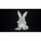 DOUDOU LAPIN MUSICAL OBAIBI