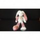 DOUDOU LAPIN PELUCHE HISTOIRE D'OURS