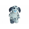 Doudou peluche chien Tatty Teddy