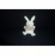 DOUDOU LAPIN PETIT MODELE NICOTOY SIMBA TOYS