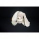 DOUDOU LAPIN MUSICAL INFLUX CORA
