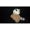 DOUDOU RATON LAVEUR PELUCHE HISTOIRE D'OURS